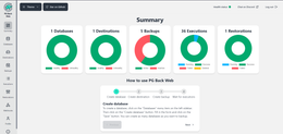 Backup PostgreSQL ด้วย PG Back Web